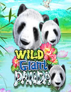 สูตรสล็อต SA เทคนิคเด็ดเพื่อทำกำไร